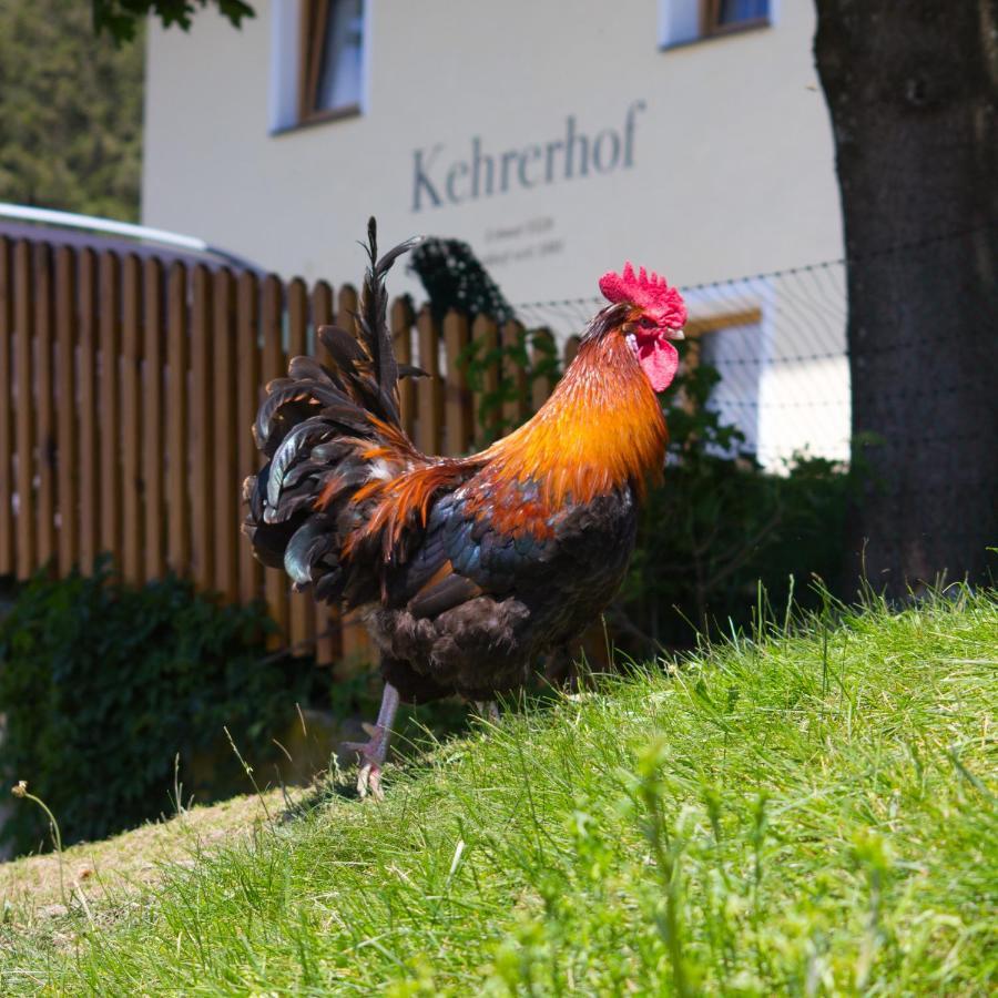 Kehrerhof Hotel Ellbogen ภายนอก รูปภาพ