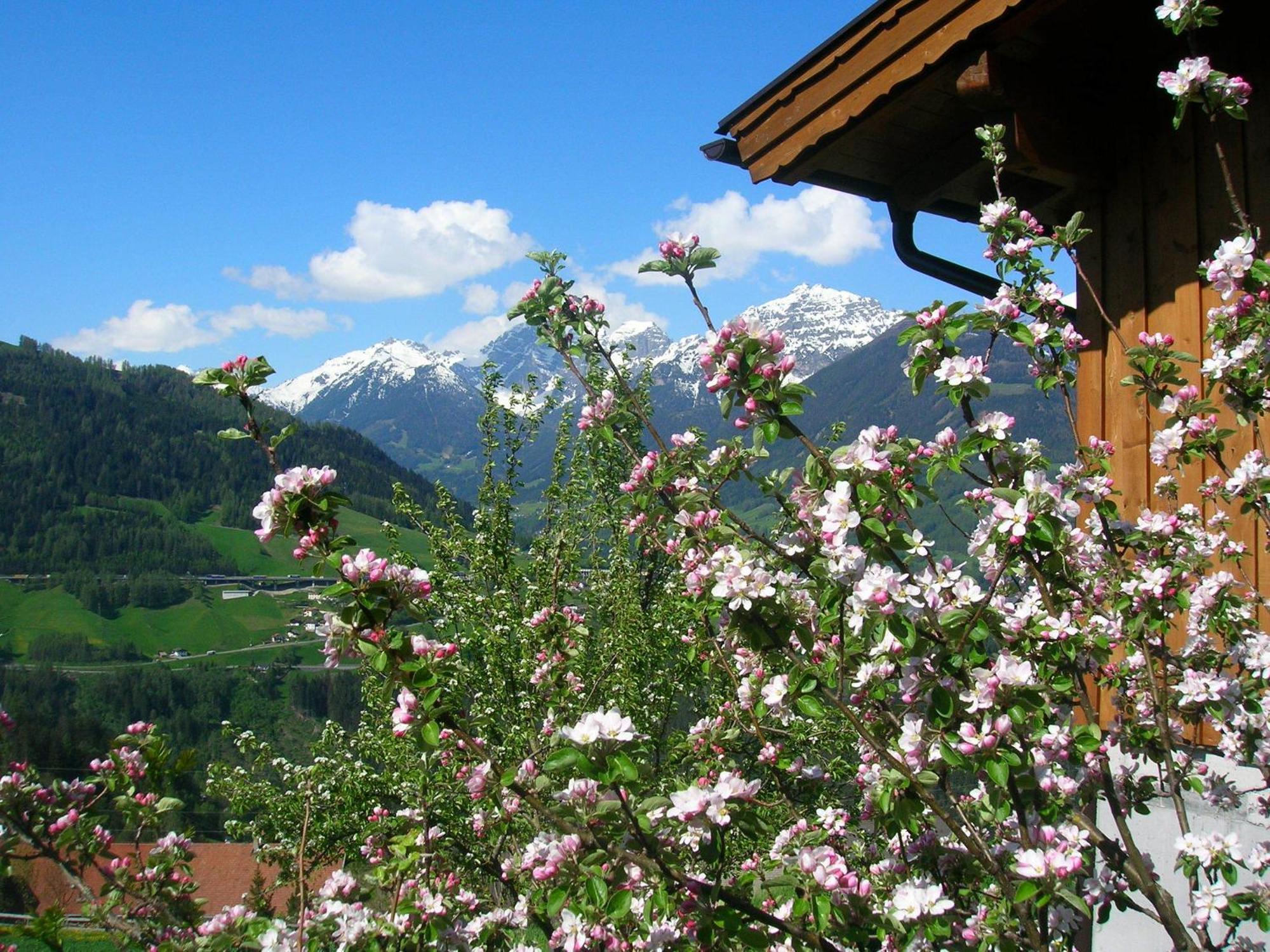 Kehrerhof Hotel Ellbogen ภายนอก รูปภาพ